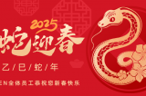 辭舊迎新，蛇舞華章丨深圳容金科技全體員工祝您新春快樂！